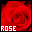 ROSE union